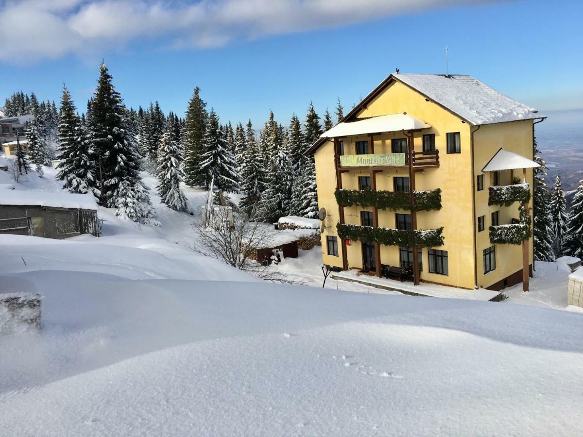 Hotel Muntele Mic Borlova Exterior foto