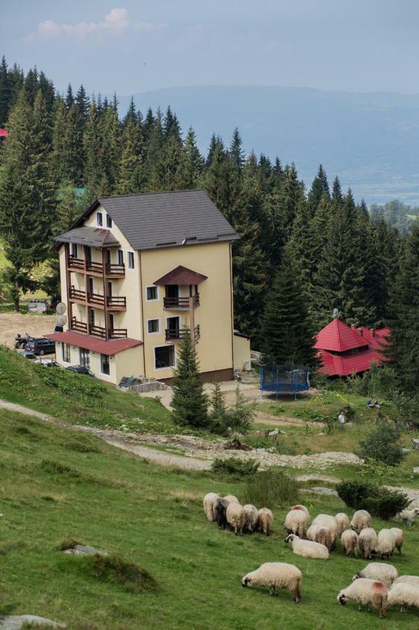 Hotel Muntele Mic Borlova Exterior foto
